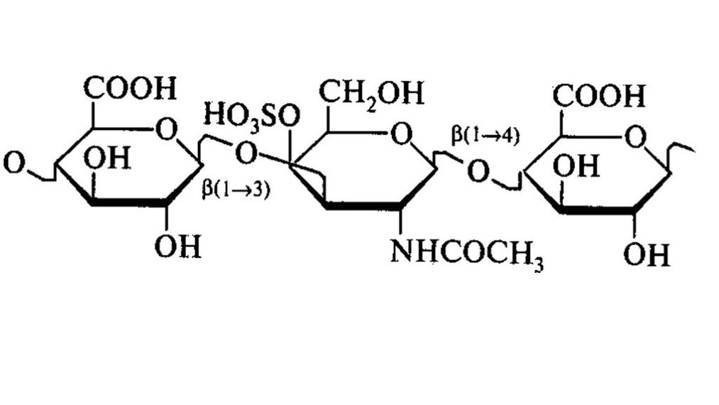Chondroitin v OstyHealth