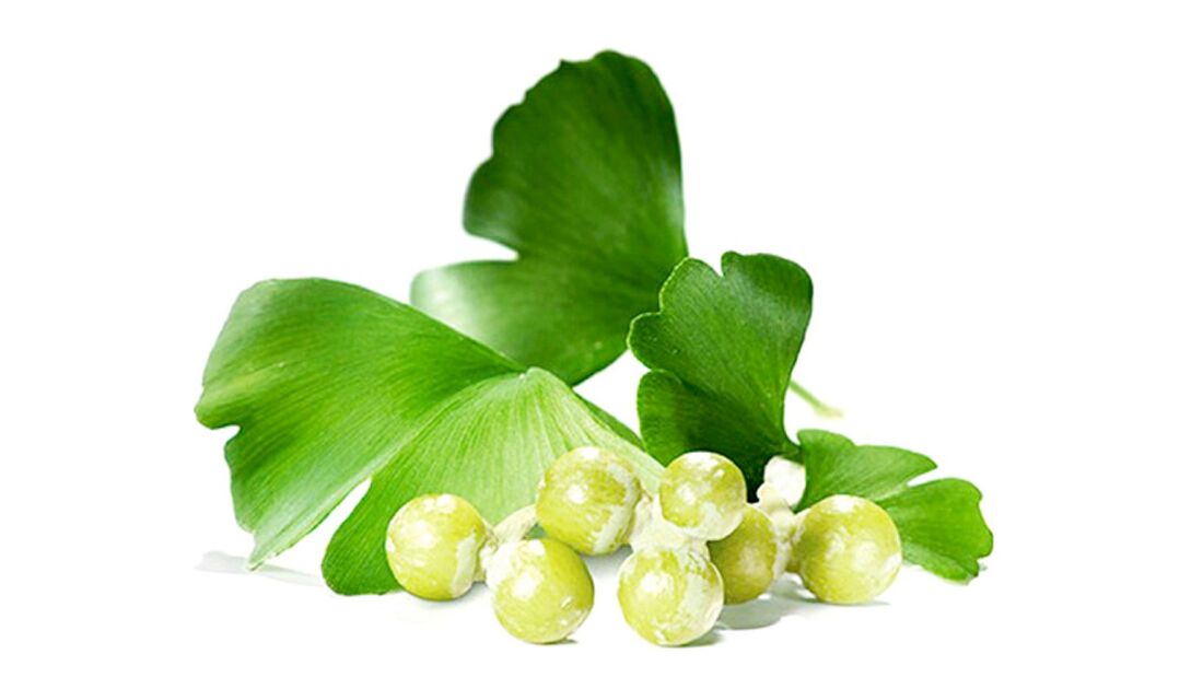 Ginkgo bilobe v OstyHealth